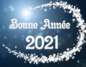 Lire la suite à propos de l’article Bonne année 2021 !